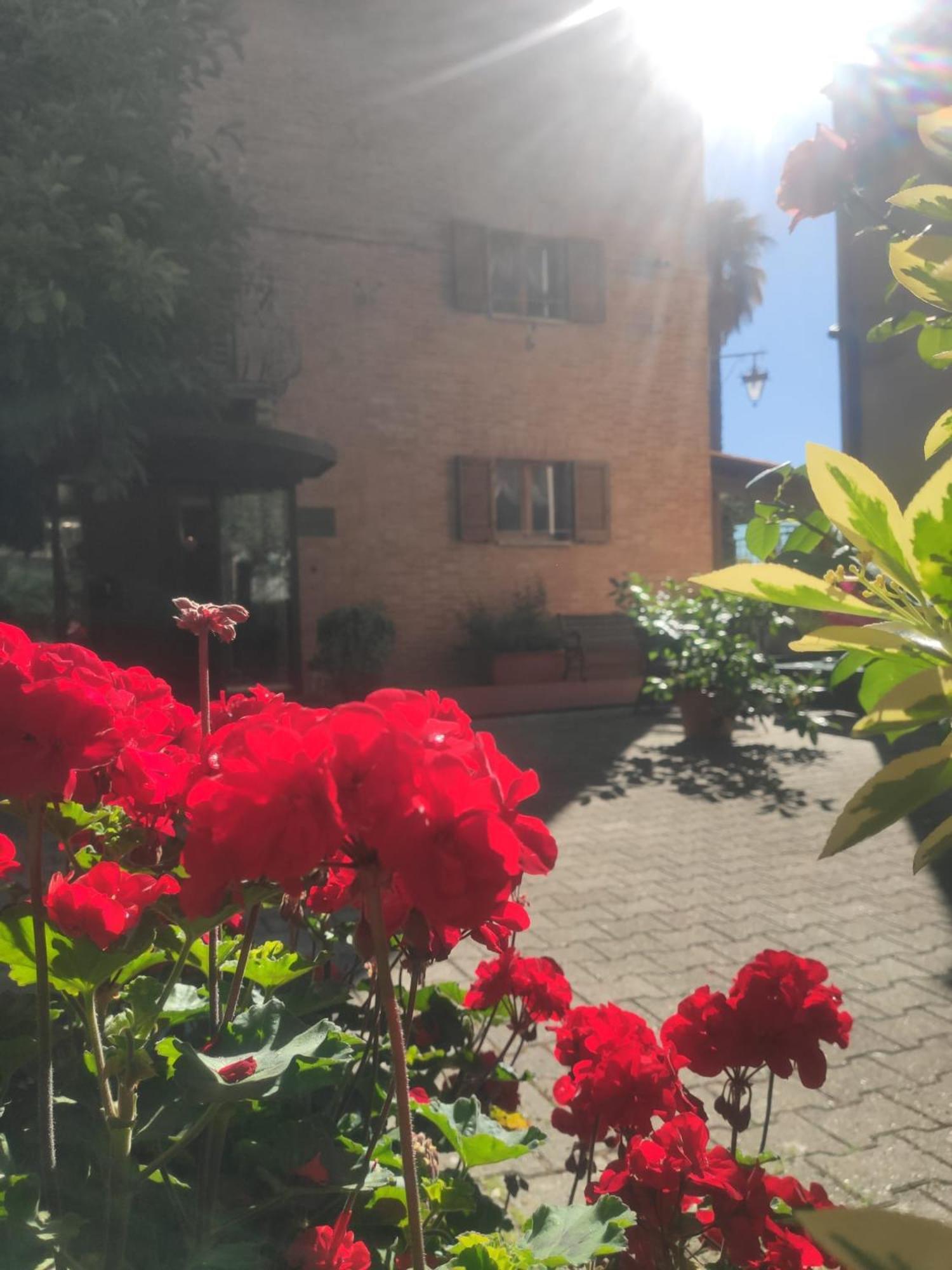 Hotel Arcobaleno Siena Zewnętrze zdjęcie