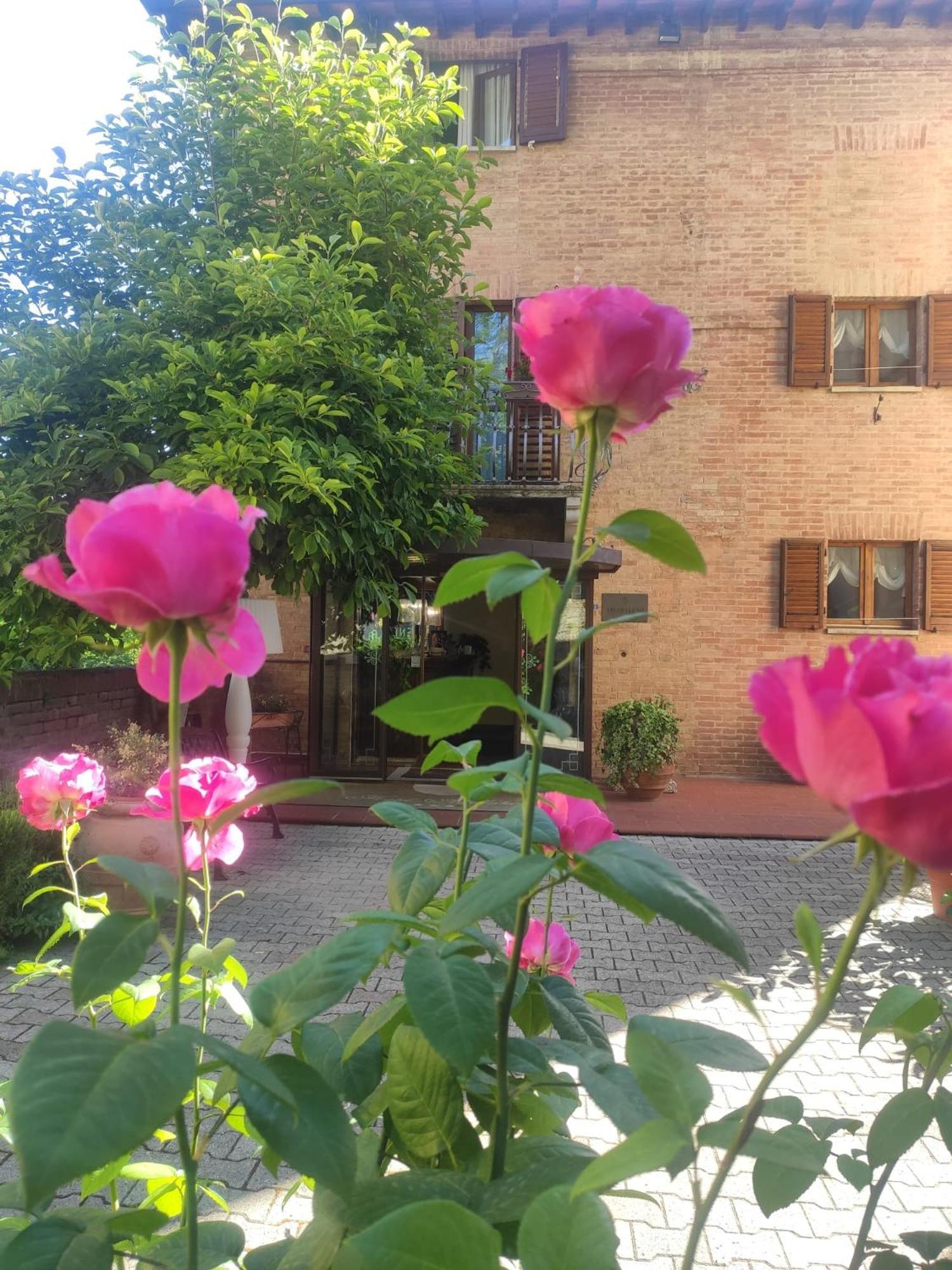 Hotel Arcobaleno Siena Zewnętrze zdjęcie